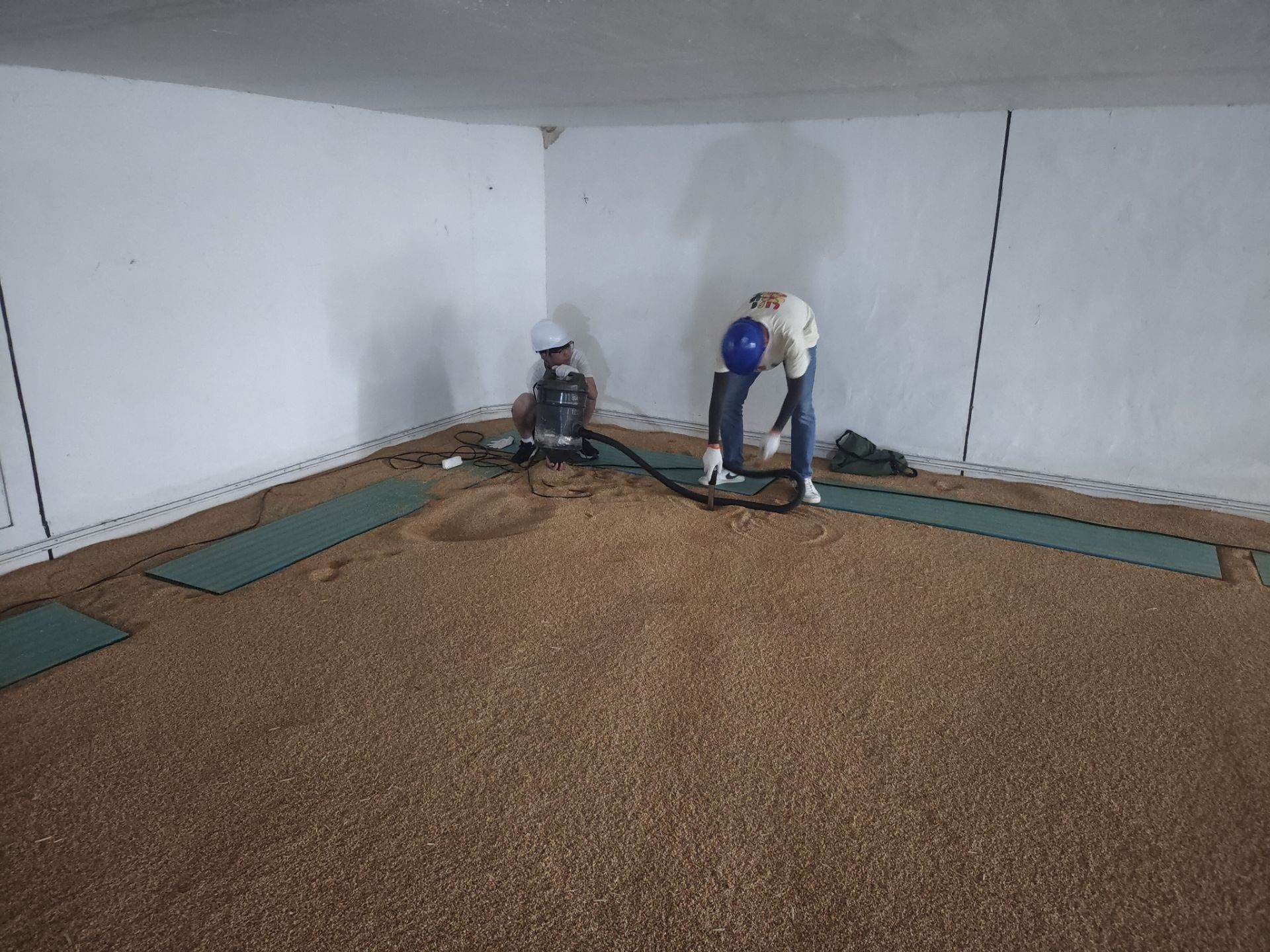 1691582163890678.jpg 1691582163890678.jpg