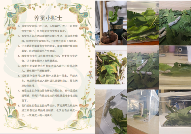 1650275411441107.png 555.png