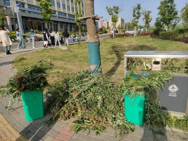 1651542004620929.png 图片 6.png