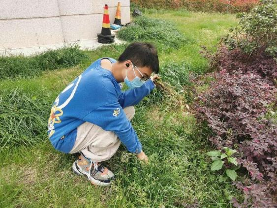 1651541906229102.png 图片 3.png