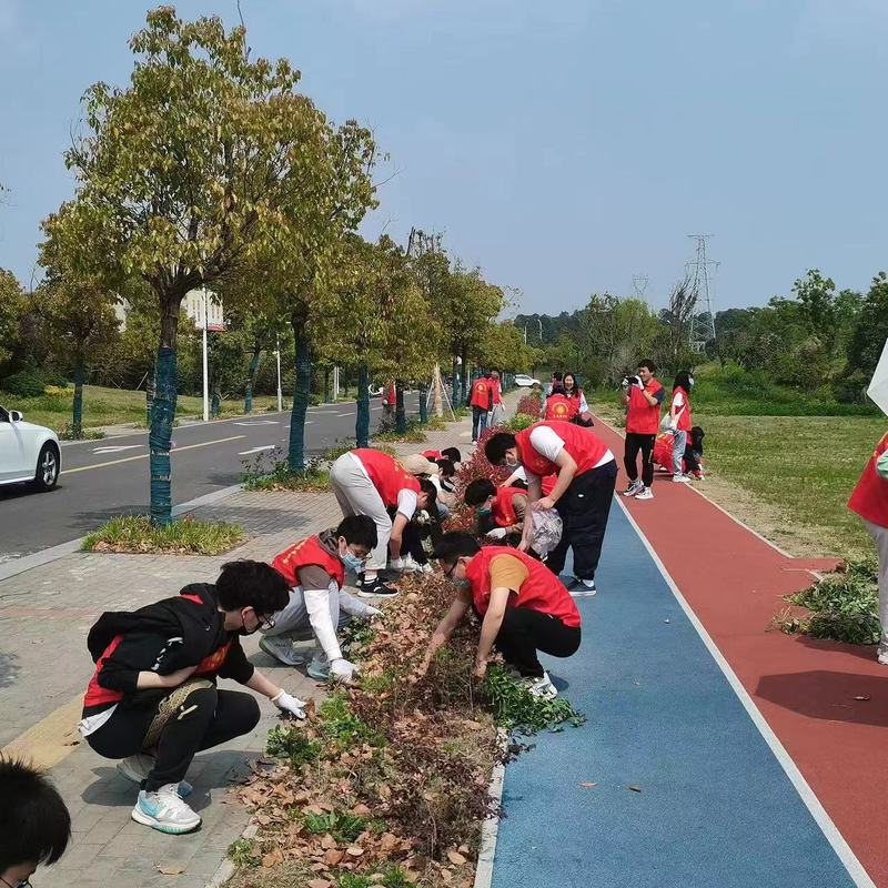 1651454080761355.jpg 44.jpg