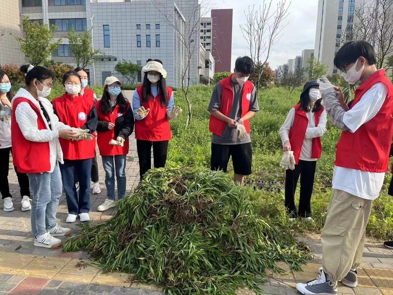 1651454091608337.jpg 55.jpg