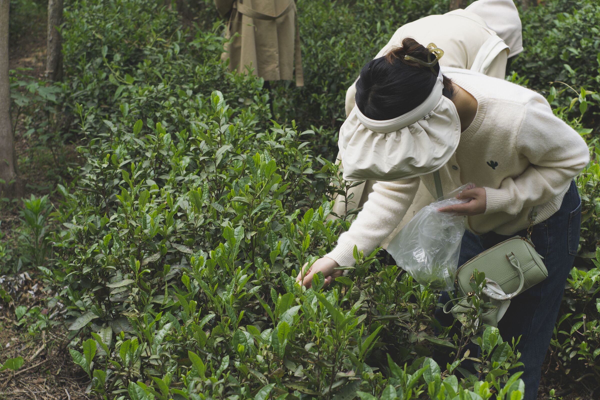 1682665036771317.jpg QQ图片20230424181612.jpg