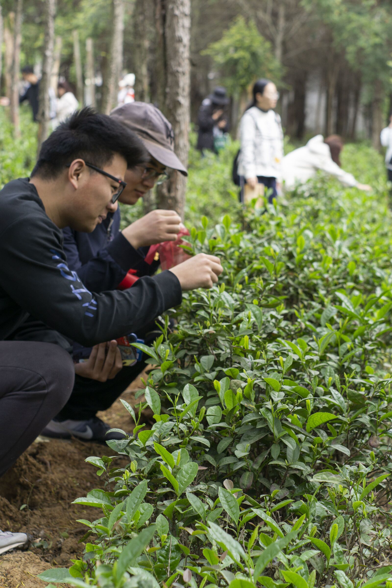 1682665073418401.jpg QQ图片20230424181618.jpg