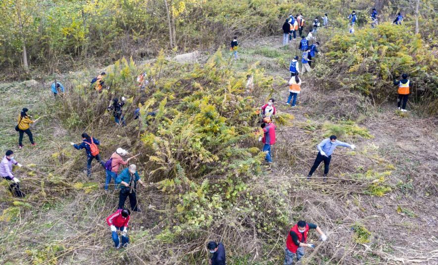 1668525328713606.png 图片2.png