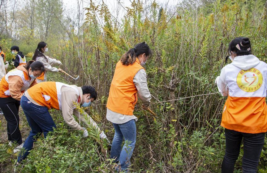 1668525343797277.png 图片3.png