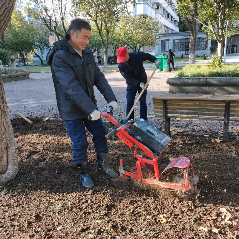 1637652824363563.jpg 33.jpg