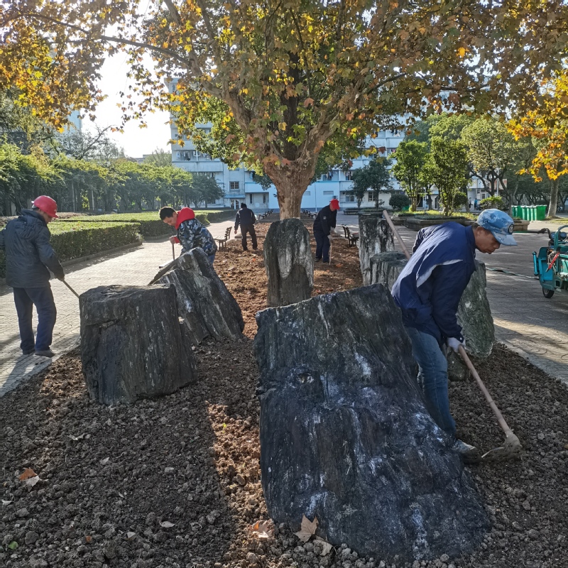 1637652799484696.jpg 11.jpg