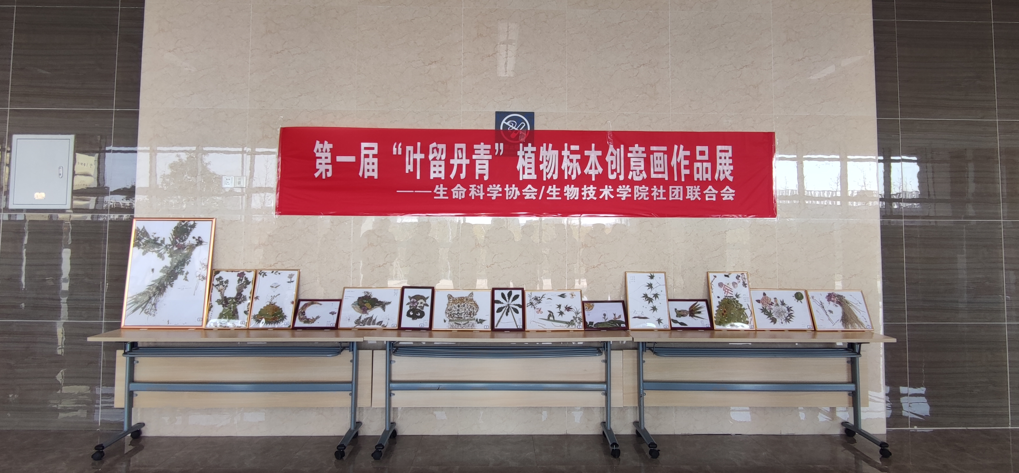 1636713240231540.png 2.png