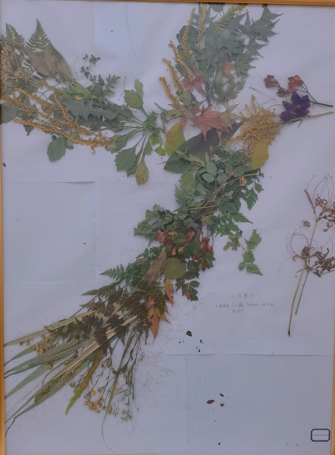 1636713476315526.png QQ图片20211112183605(1).png