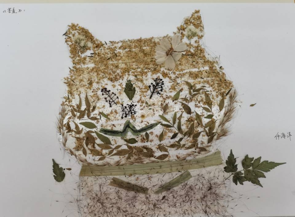 1637110639264646.jpg 害羞.jpg