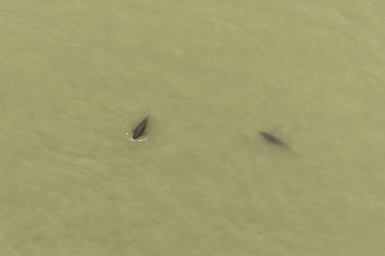 1665537106861012.png 图片 3.png