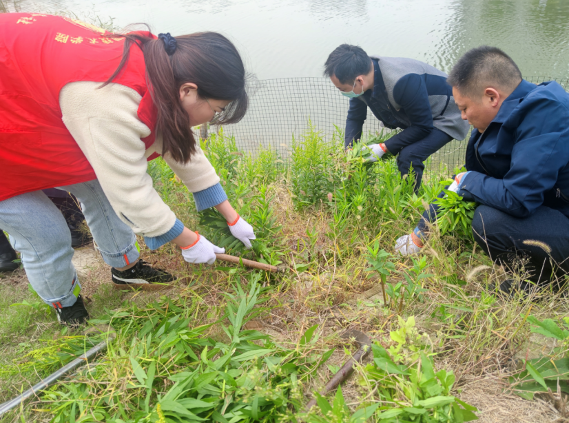 1635080463401511.png QQ图片20211024205801.png