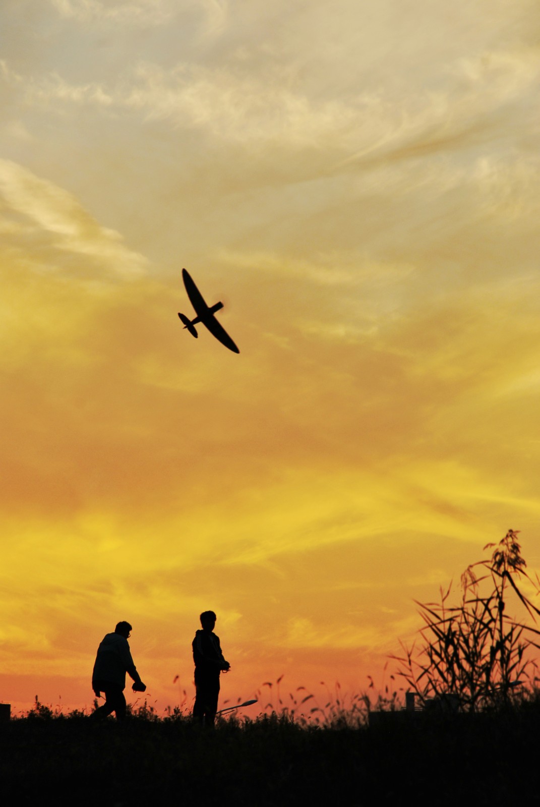 1637584138333038.jpeg 1637584138333038.jpeg