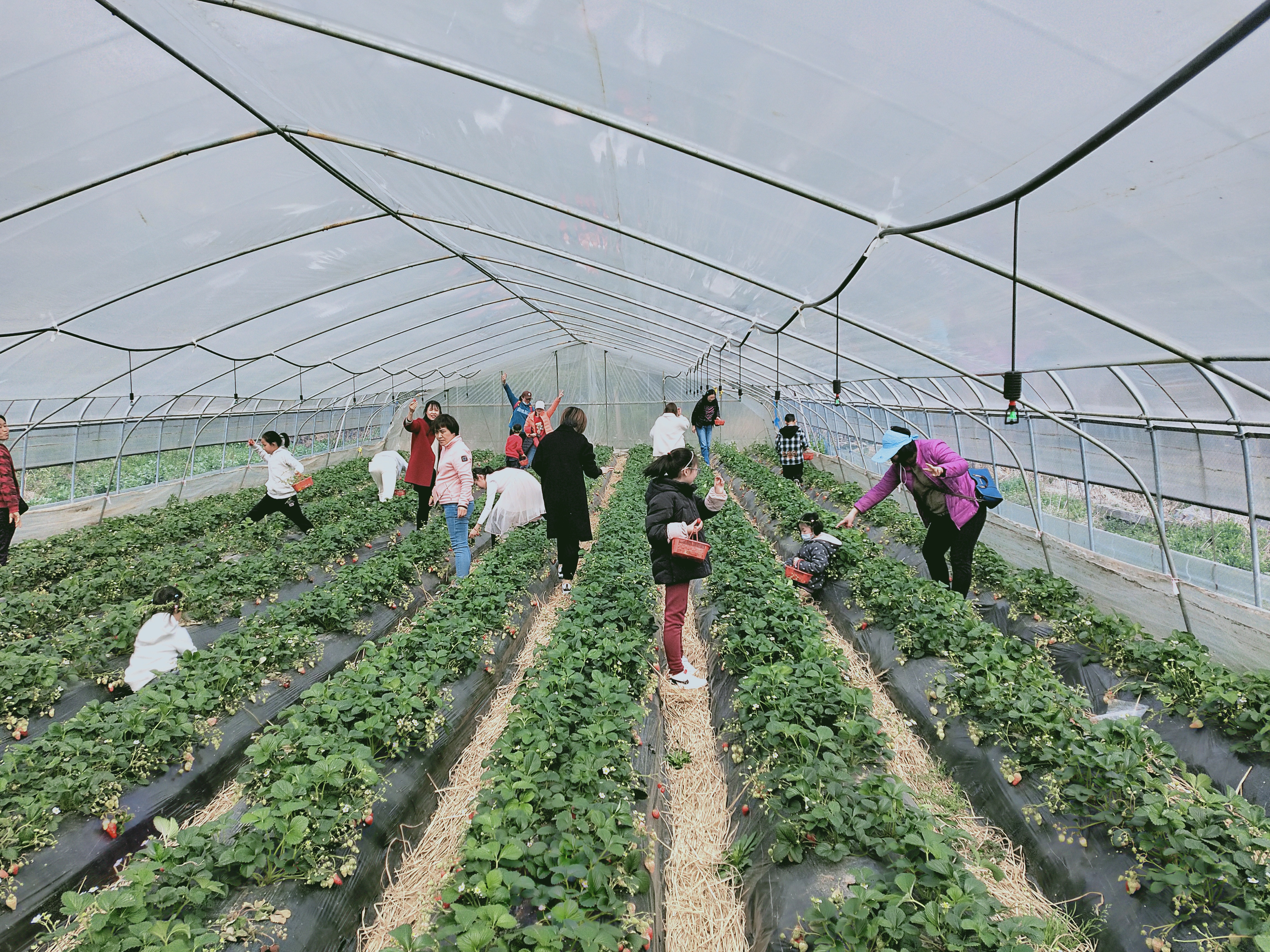 1678671585663117.jpg QQ图片20230313093846.jpg