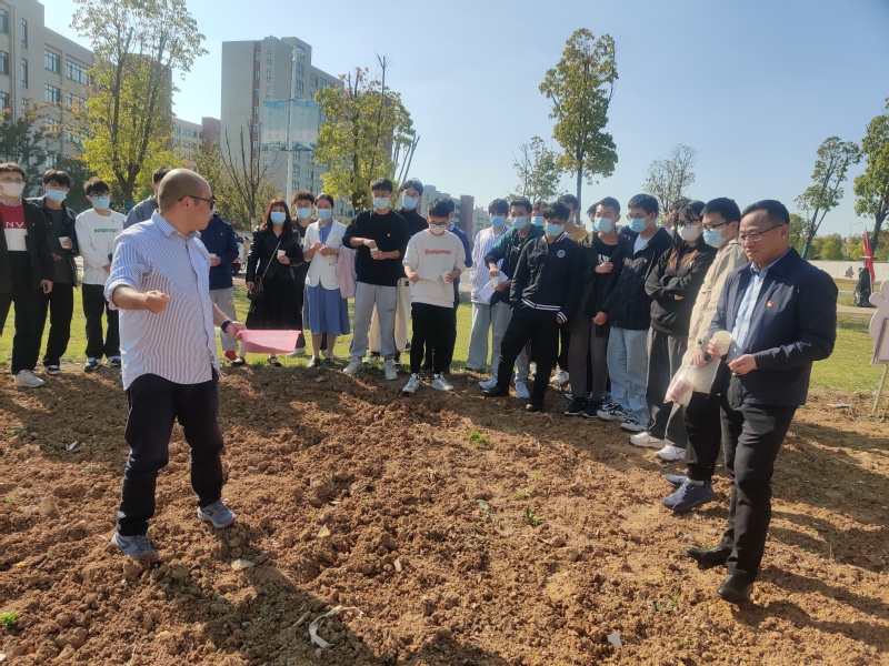 1665730752795877.jpg 4.jpg