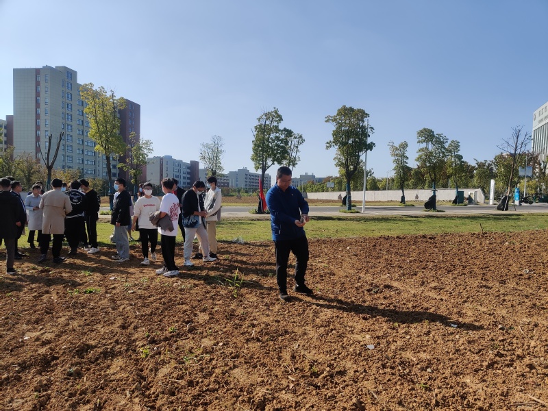 1665730762529873.jpg 5.jpg