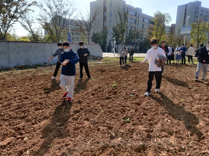 1665730800904215.jpg 7.jpg