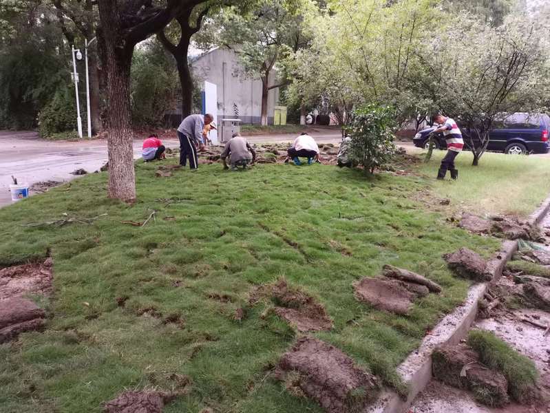 c2f88899-ce92-4814-9f70-7f976c38751b (1).jpg