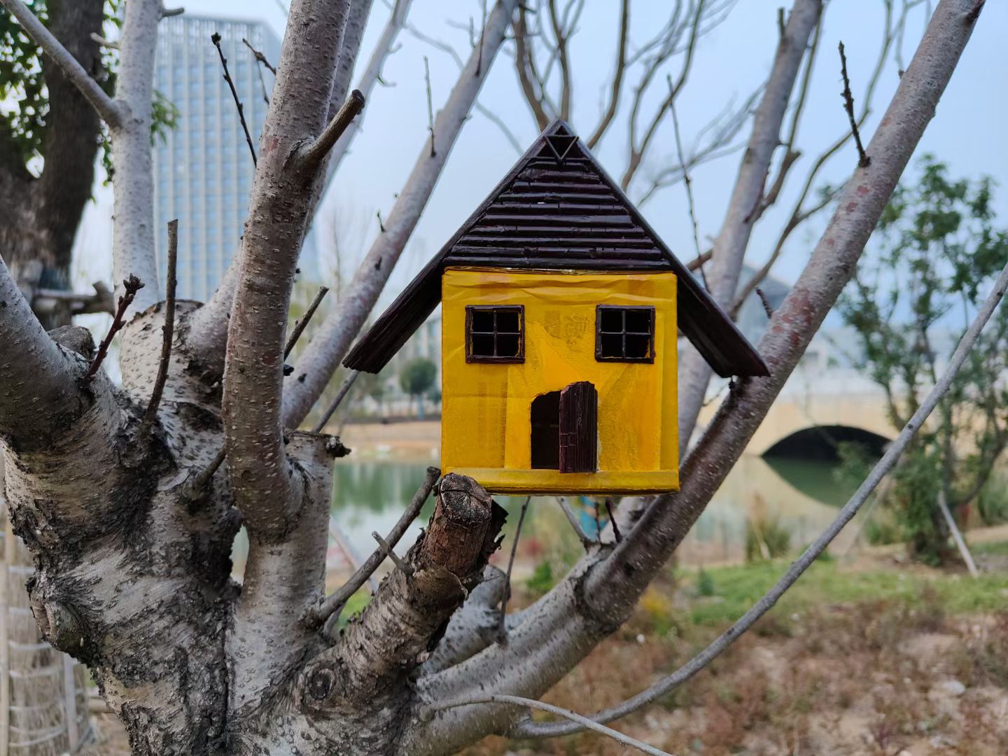 1639119933193648.jpg QQ图片20211210145349.jpg